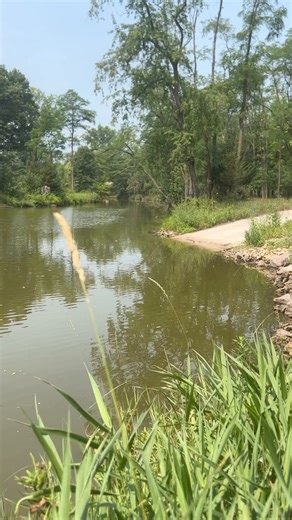Splash into adventure, create memories that make waves. Join us for an Army Duck tour today. Book your spot now!💦🦆#familytraditions #ducktour #wisconsindells | Dells Army Ducks