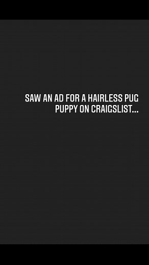 Xoloitzcuintli and Pug Ads on Craigslist