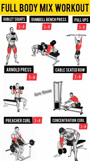 𝗔𝗭𝗥𝗔 𝗤𝗔𝗗𝗜𝗥 | 𝗙𝗜𝗧𝗡𝗘𝗦𝗦 𝗧𝗥𝗔𝗜𝗡𝗘𝗥 on Instagram: "Mix workout full body"