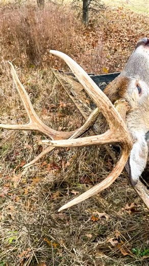 Lile Real Estate on Instagram: "📍Pickthorne Hunting Club • 647.75± acres • Prairie County, Arkansas - northwest of Hazen • Estabished deer, turkey, and waterfowl hunting, as well as fishing • 237± acres enrolled in the Conservation Reserve Program (over $10,000 in annual income) • 90± acres of pastureland that could be developed for dove and quail hunting, or cattle farming • 60± acre reservoir and the 2± acre pond • 1,700± sq. ft. house and additional sites for expanding lodging or shops • A f