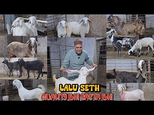 DHAMAKA🔥 Mujhe Pyar Do Main Tumhen Sasta Dunga Looto Aur Shouk Karo || Lalu Seth Bhiwandi Mumbai ||