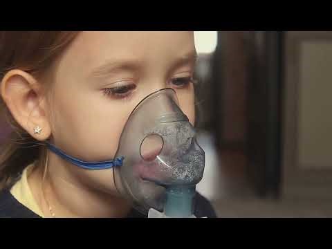 Toolbox Talk: Mold Awareness & Safety