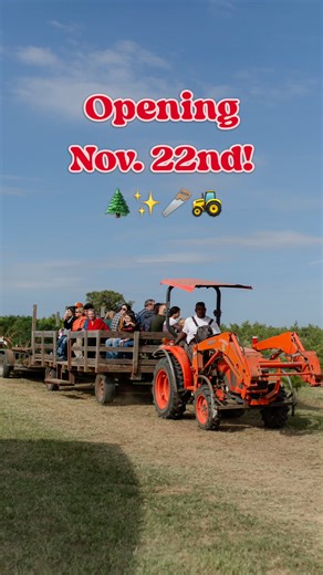 2.5K views · 42 reactions | There’s nothing like the smell of fresh pine and the joy of tradition✨♥️ Christmas Season starts Nov 22! ⏰ elginchristmastreefarm.com/hours  elginchristmastreefarm.com/prices | Elgin Christmas Tree Farm | Facebook