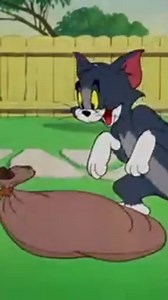 Tom and Jerry Funny Clip | Tom & Jerry short