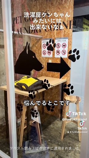 初めてのコインランドリー体験