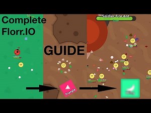 [2026] The Complete Beginner-Friendly* Florr.io Guide, how to get your first SUPER