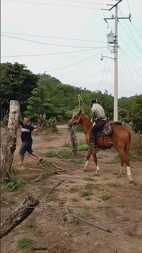 Técnica nova pra domar cavalo