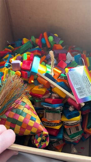 Toy delivery today! Let’s unbox it with Merlin. #birdtoy #bird #parrot #cutebird @bonkabox @Bonka Bird Toys @Chewy @Planet Pleasures