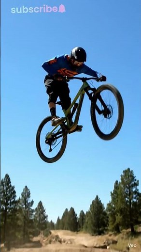 Bicycle stunt