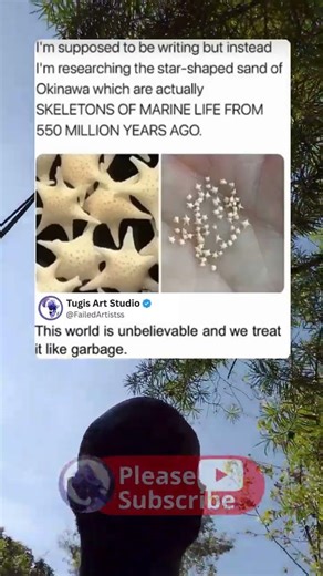 These small stars are prehistoric fossils