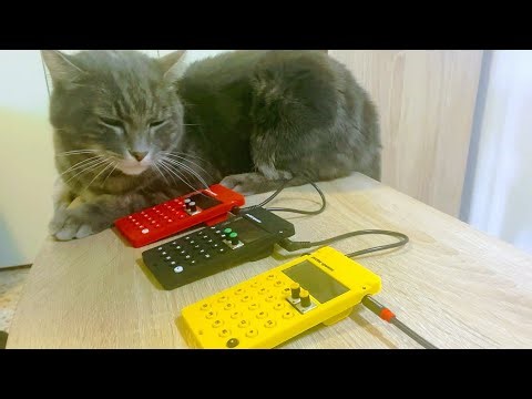 Three Pocket Operators and one cat - Tekno Jam 🐈‍⬛ 💥💥💥