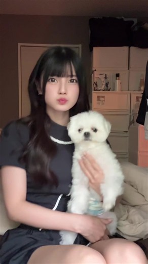 飼い主と犬は似るって言うけど似てますか？？？ちなみにとっても人懐っこくて甘えん坊です！！ | dogs