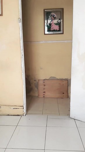 Fluid Dance Movements in a Red Dress Performance