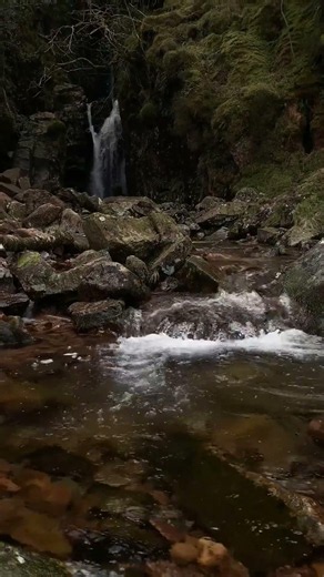 Choosing Your First Fly Rod: Advice for UK Beginners #Shorts