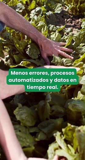 NetAgro: el ERP agroalimentario adaptado a VeriFactu 🌱#erpagro #verifactu