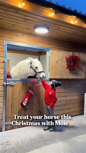 Treat your horse this Christmas with Mole 💚 We know how much your four-legged friends mean to you – why not show them some extra love this festive season? Don’t forget to stock up on your essentials - we’ve got everything you need to keep them happy and healthy this festive season. Shop online or visit your local store today📍 | Mole Valley Farmers