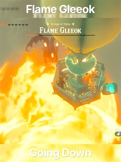 I repeat we got a Flame Gleeok going down #tearsofthekingdom #zelda