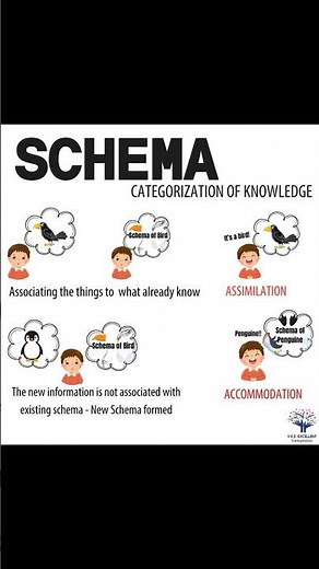 Psychologist Sam Says | Schema