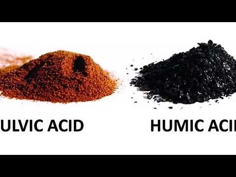 7 Fulvic Acid Benefits and Uses