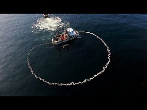 Salmon Seining - View from Up Top!