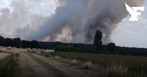 Maine-et-Loire: les images impressionnantes des feux de forêt où près de 100 hectares ont brûlé