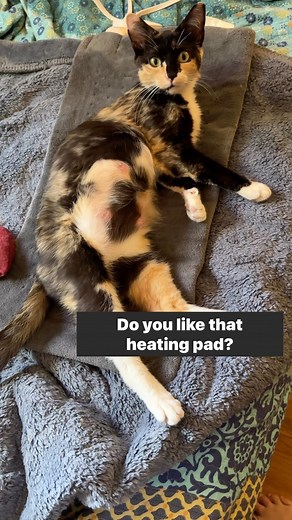 281K views · 10K reactions | Sound up!! Today is Chihiro’s first day...