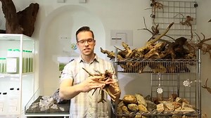 Hardscaping Basics - Part One