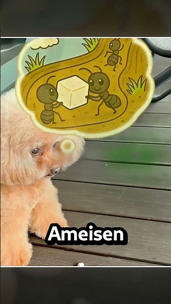 Das ist der netteste Hund der Welt 🐶 ❤️