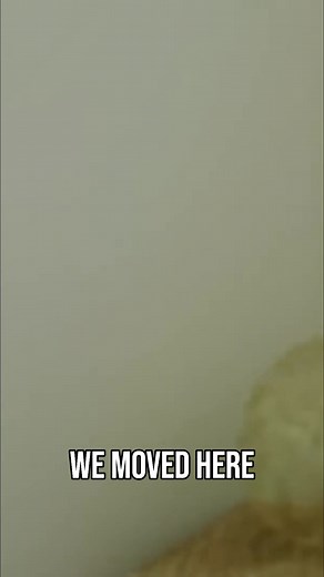 1.2M views · 8K reactions | This person doesn't know what Todd wants. Their daughter had no expectations when they moved, but Todd clearly does. Doing weekly cleaning doesn't seem to be enough. It's been almost two years, and they're wondering if they should go back home. #Supernanny #JoFrost #familyissues | Supernanny | Facebook