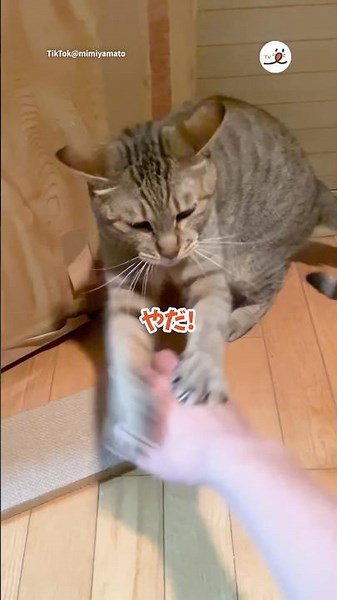 I love Grandma's house too much… | PECO