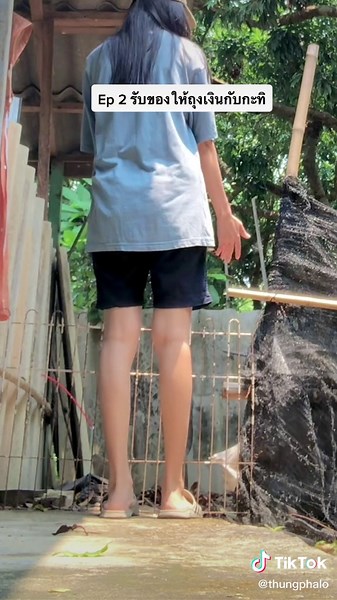 Exploring a White Goose in Its Outdoor Habitat