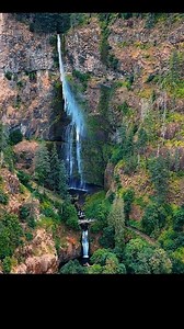 36K views · 1.2K reactions | Can you see the humans on the bridge?...