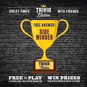 1.5K views · 89 shares | Summer's almost here which makes for fun...