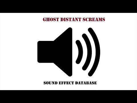 Ghost Distant Screams Sound Effect