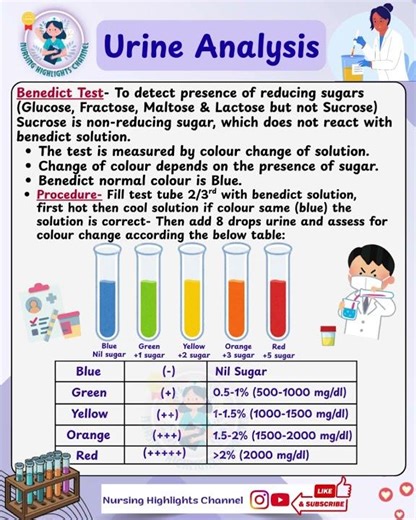🧪 Benedict Test- Detect reducing sugars#norcet #aiims #kgmu #rml #sgpgi #urine #analysis #test #mcq