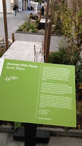 2.7K views · 405 reactions | Stainer Street, the tunnel connecting underground and mainline service, has sprung up with foliage and rockery, recycled from the RHS Hampton Court Garden Festival ☘️ | Wonders of London | Facebook