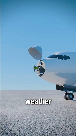 Airplane Nose Explained🧠