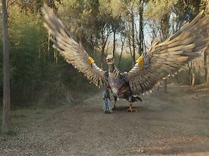 143K views · 6.6K reactions | Mythical beasts have appeared! 神兽出现！ Drama：水龙吟 Whispers of Fate 珞Welcome to click and watch #WhispersofFate #水龙吟 #罗云熙 #LuoYunxi | 古风甜偶录 | Facebook