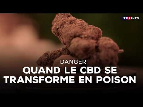 Danger : quand le CBD se transforme en poison ｜TF1 INFO