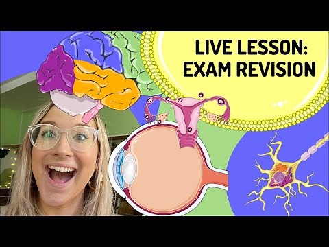 Live Lesson: Exam Revision | Eye and nervous system