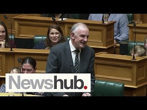Trevor Mallard's salary, perks in Ambassador to Ireland role revealed | Newshub