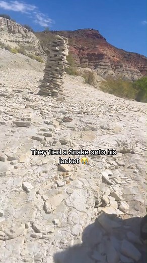 96K views · 1K reactions | I AM SCREAMING  #facebookreels #viralreels #trendingreels #reelsvideo #boyfriend #prank #snake #screaming #FacebookReelsContest | Brandon Robert | Facebook