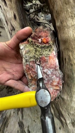 crytal quartz #quartz #crytal #gold #nature #treasure #maden