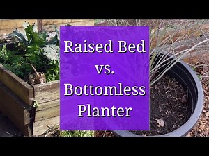 Bottomless Planters in Comparison to Raised Beds
