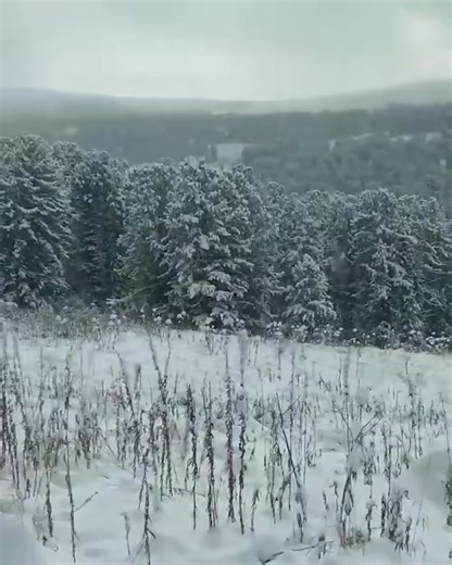 Think it’s already cold where you are? Well, you might actually feel warm after watching the latest weather footage coming out of Russia! 😬❄️☃️ | Future Russia