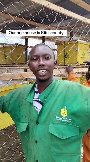 Beekeeping Adventure: Unlocking Kitui's Honey Potential