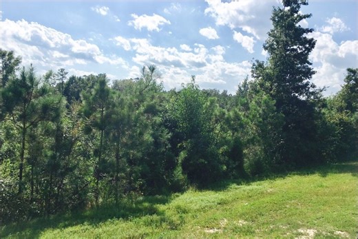 NC Hwy 24 87, Cameron, NC 28326 - Land for Sale | LoopNet