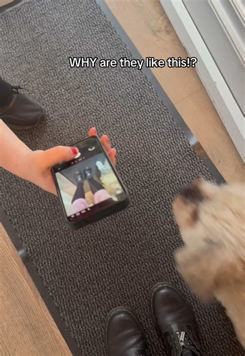 Delivery Driver Fails: Hilarious Real-Life Moments