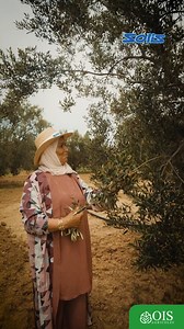 1.2M views · 35K reactions | من نهار إلي شراو الأرض، وهي واقفة مع...