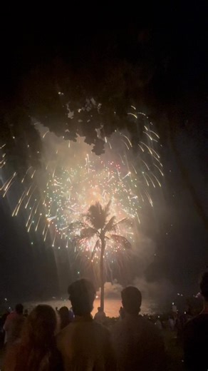 Christmas tree pick up and disposal. We’re doing this to raise funds to support our local charities. Donations accepted or your can make a donation to any local charity and produce the current receipt for said donation. Call (808)864-2491 to have your Christmas tree picked up today. Mahalo | Tree Tops Tree Service LLC